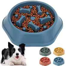 🐾 Gamelle Anti-Glouton VitalPet™ – Pour chiens & chiots