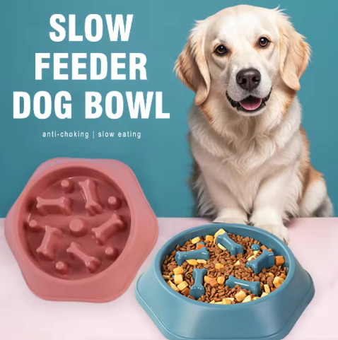 🐾 Gamelle Anti-Glouton VitalPet™ – Pour chiens & chiots